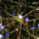 Image for article titled Scientists Have Finally Found a Biological Process Behind Schizophrenia